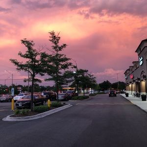 Meet your Posher, Annika